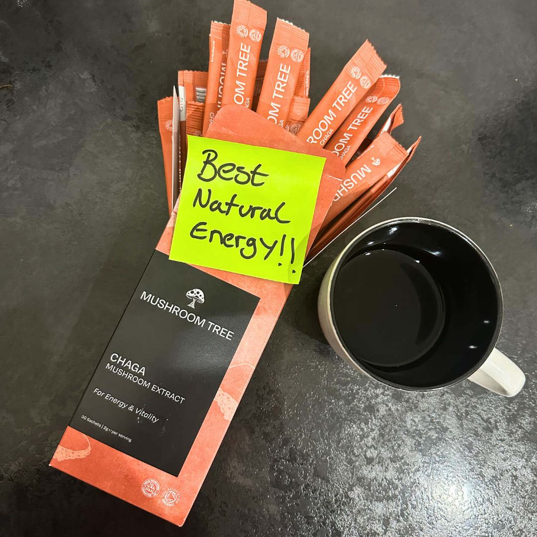 Daily Energy Chaga Extract – Caffeine-Free Vitality Support Supplement